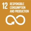 Ensure sustainable consumption and production patterns sdg-logo-12