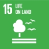 sdg logo 15
